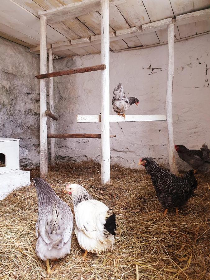 Die Alm in Schöllbüchl Sankt Martin  Exterior foto